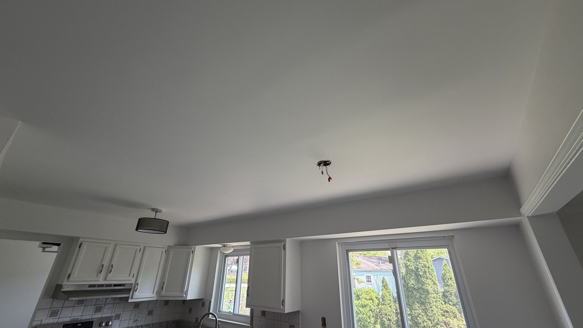 Ceiling Repair After
