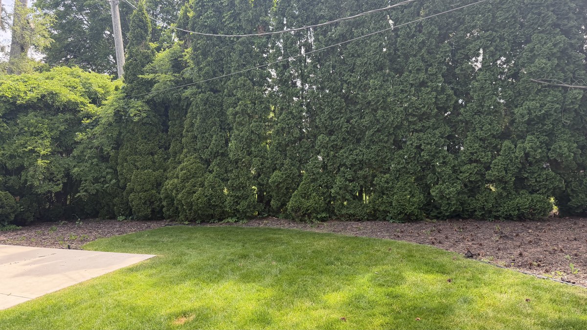 Lawn Maintenance